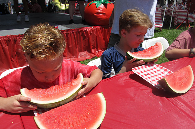 Collinsville Catsup Bottle Festival