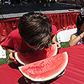 Collinsville Hot Dog Eating Contest